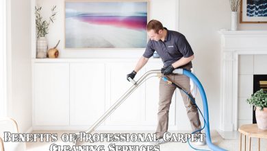 Reasons to Choose Professional Carpet Cleaning Services