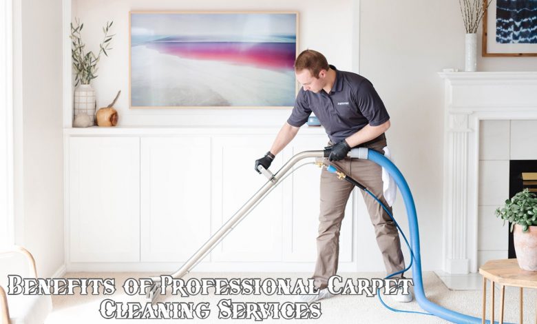 Reasons to Choose Professional Carpet Cleaning Services