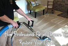 The Different Types of Professional Carpet Cleaning Services