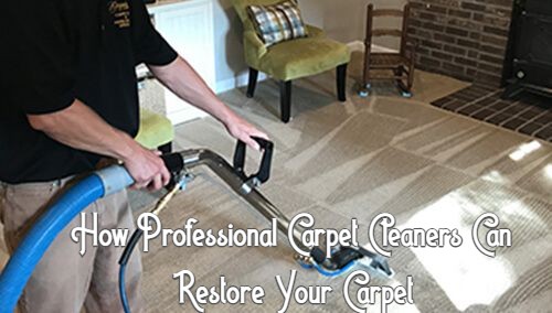 The Different Types of Professional Carpet Cleaning Services
